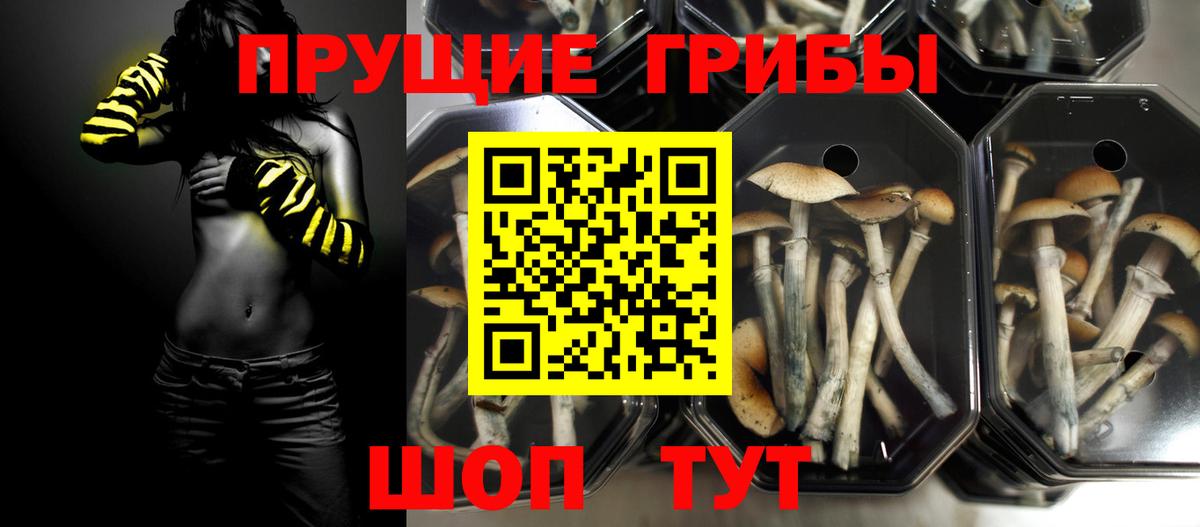 Дербент  Псилоцибиновые грибы ЛСД  Вход с VPN 